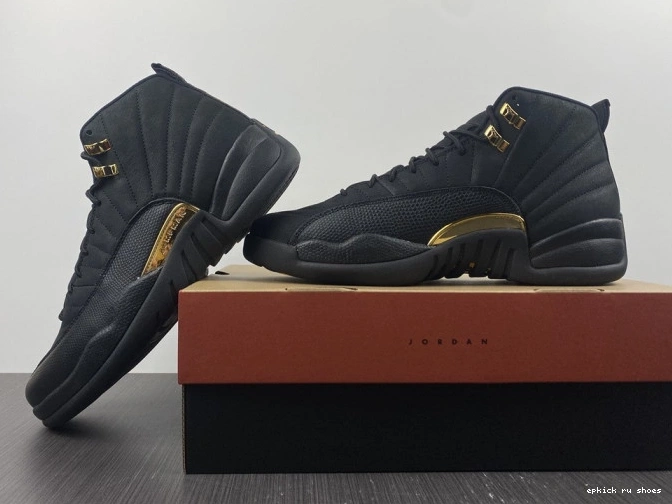 Rep Jordan Air Taxi 12 Black CT8013-071 0807
